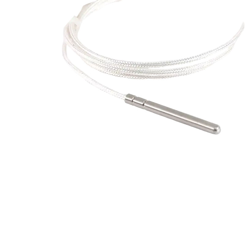 Cảm biến nhiệt độ công nghiệp PT100 RTD 3 dây điện trở bạch kim 50mm đầu dò cặp nhiệt điện