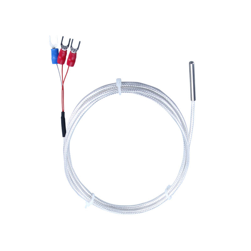 Đầu dò WZP-035 PT100 Cáp 5 × 35mm 1–20m Nhiệt kế điện trở bạch kim RTD Cảm biến nhiệt độ chống ăn mòn chống nước chống ăn mòn