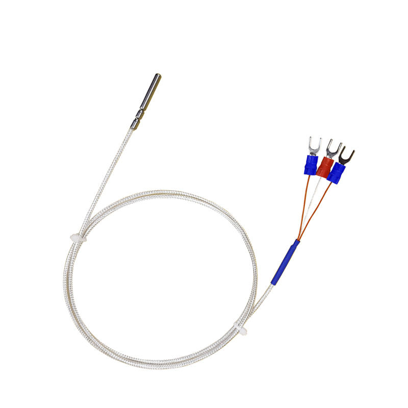 Đầu dò WZP-035 PT100 Cáp 5 × 35mm 1–20m Nhiệt kế điện trở bạch kim RTD Cảm biến nhiệt độ chống ăn mòn chống nước chống ăn mòn