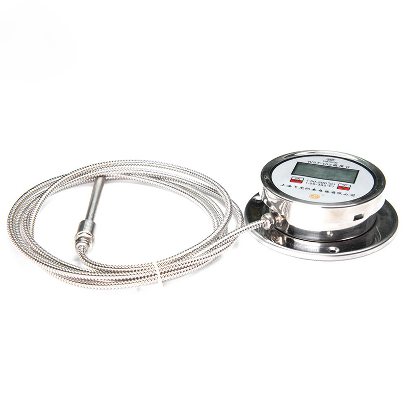 Nhiệt kế hiển thị kỹ thuật số có độ chính xác cao Nhiệt kế xuyên tâm Pt100 loại K bằng thép không gỉ Nhiệt kế kỹ thuật số ống mềm