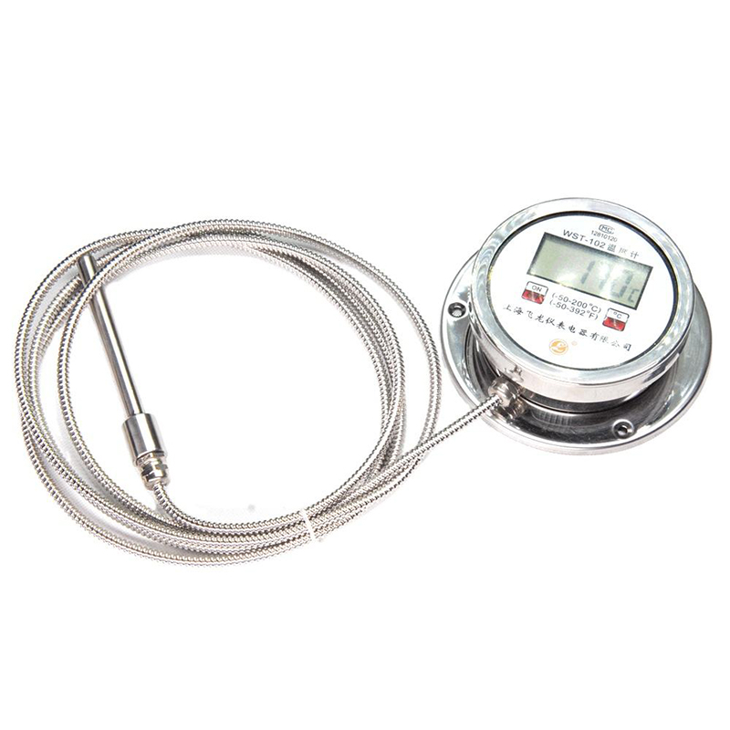 Nhiệt kế hiển thị kỹ thuật số có độ chính xác cao Nhiệt kế xuyên tâm Pt100 loại K bằng thép không gỉ Nhiệt kế kỹ thuật số ống mềm